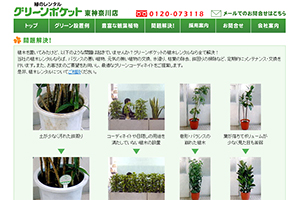 観葉植物レンタル| グリーンレンタル